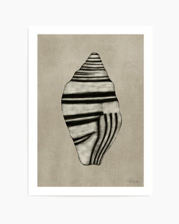 Sea Shells 03 by Julita Elbe | Art Print