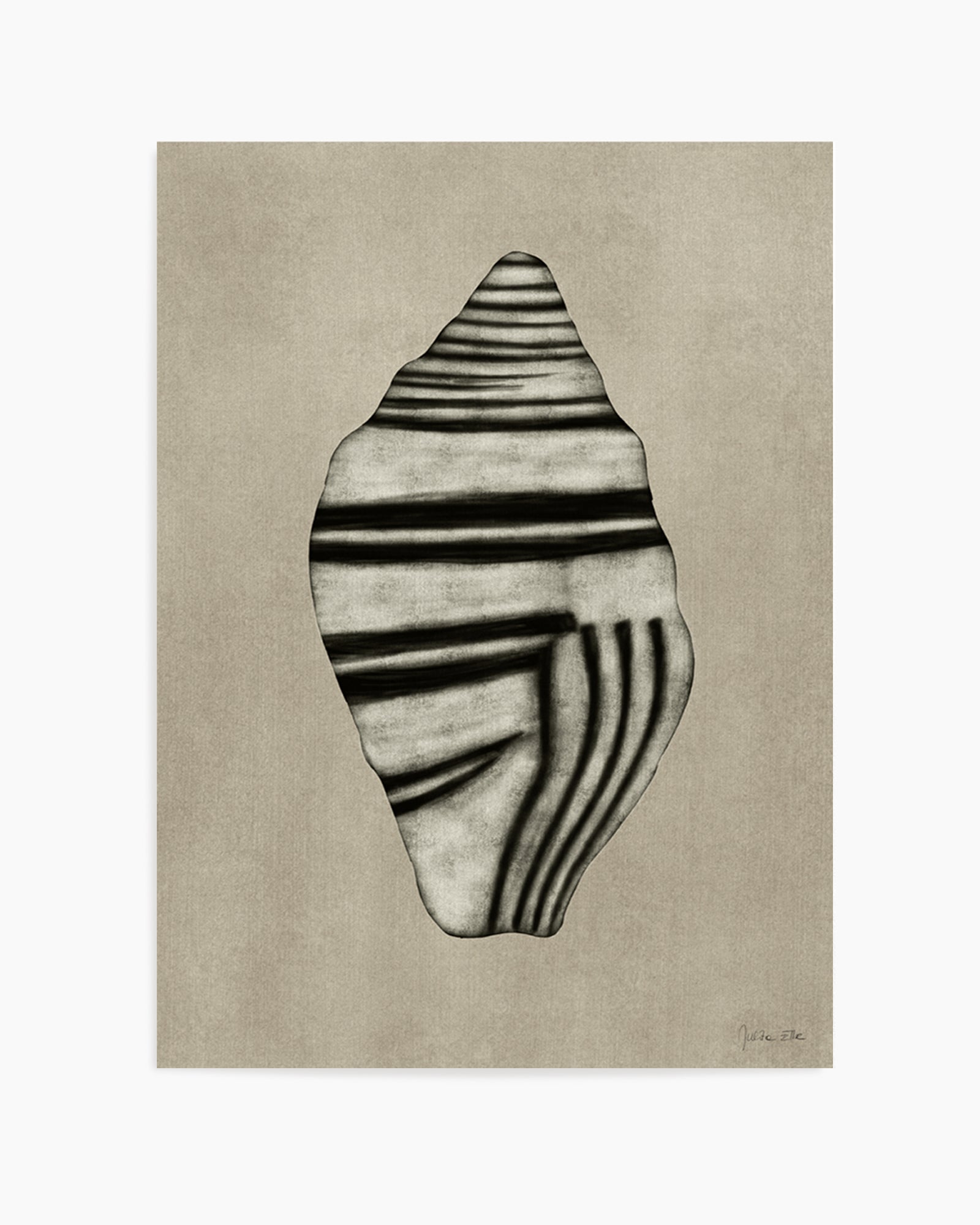 Sea Shells 03 by Julita Elbe | Art Print