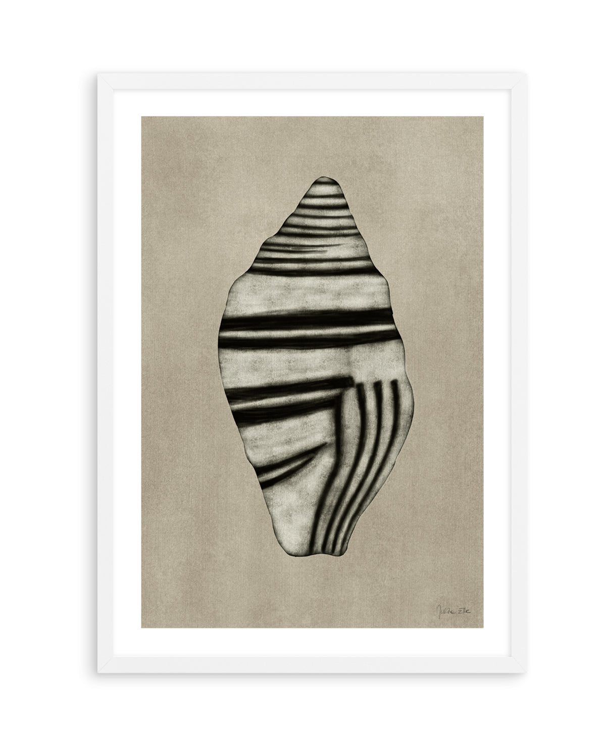 Sea Shells 03 by Julita Elbe | Art Print