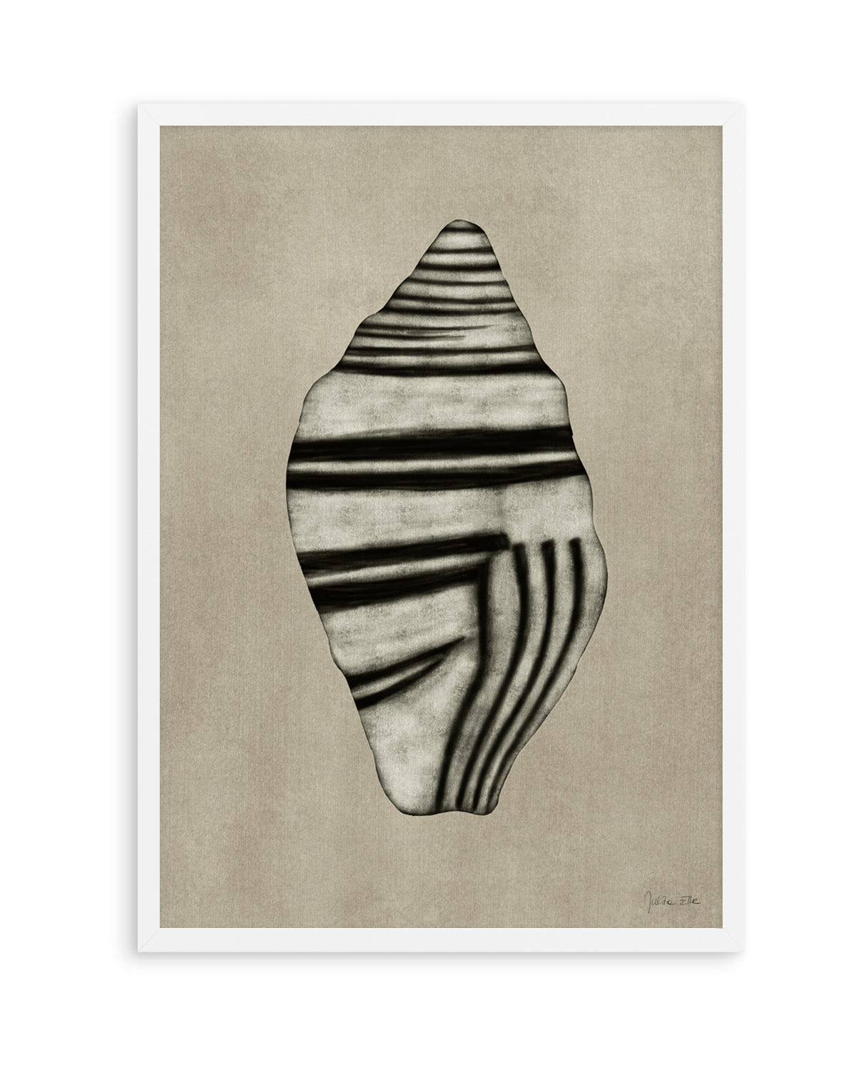 Sea Shells 03 by Julita Elbe | Art Print