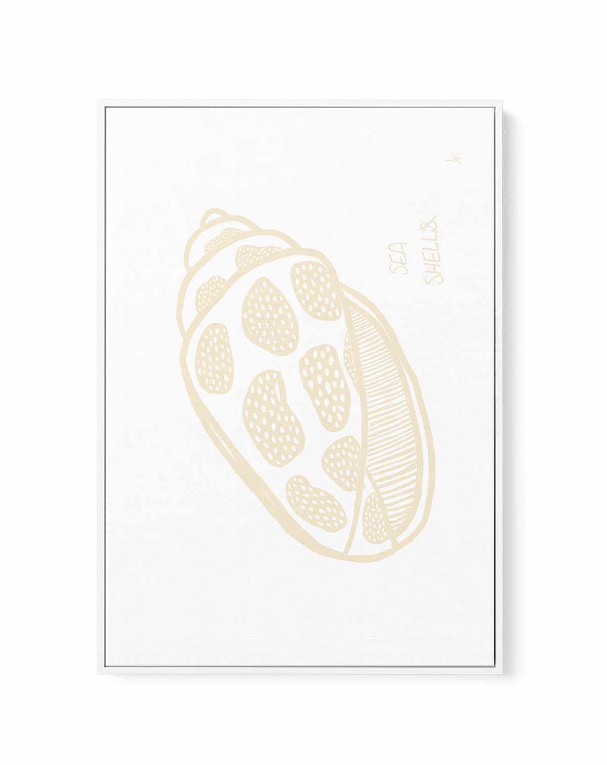 Sea shell Beige By Anne Korako | Framed Canvas Art Print