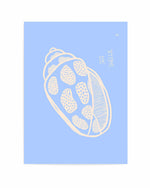 Sea Shell Pink Soft Blue By Anne Korako | Art Print