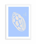 Sea Shell Pink Soft Blue By Anne Korako | Art Print