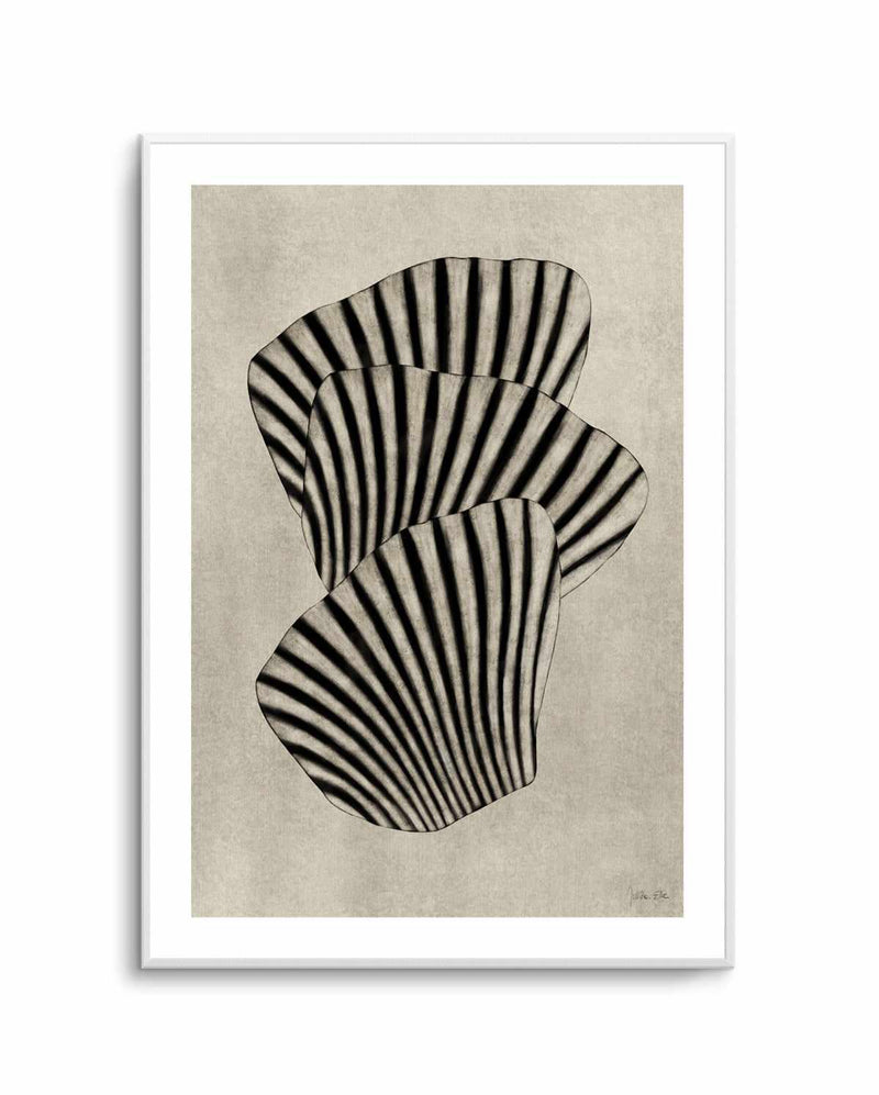Sea Shells 01 by Julita Elbe | Art Print from Olive et Oriel where you can shop wallpaper and artworks online