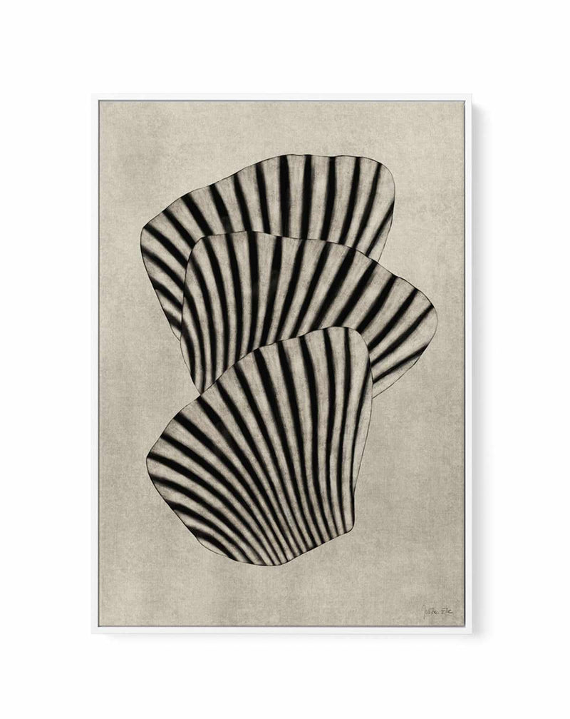 Sea Shells 01 by Julita Elbe | Framed Canvas Art Print from Olive et Oriel where you can shop wallpaper and artworks online