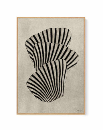 Sea Shells 01 by Julita Elbe | Framed Canvas Art Print from Olive et Oriel where you can shop wallpaper and artworks online