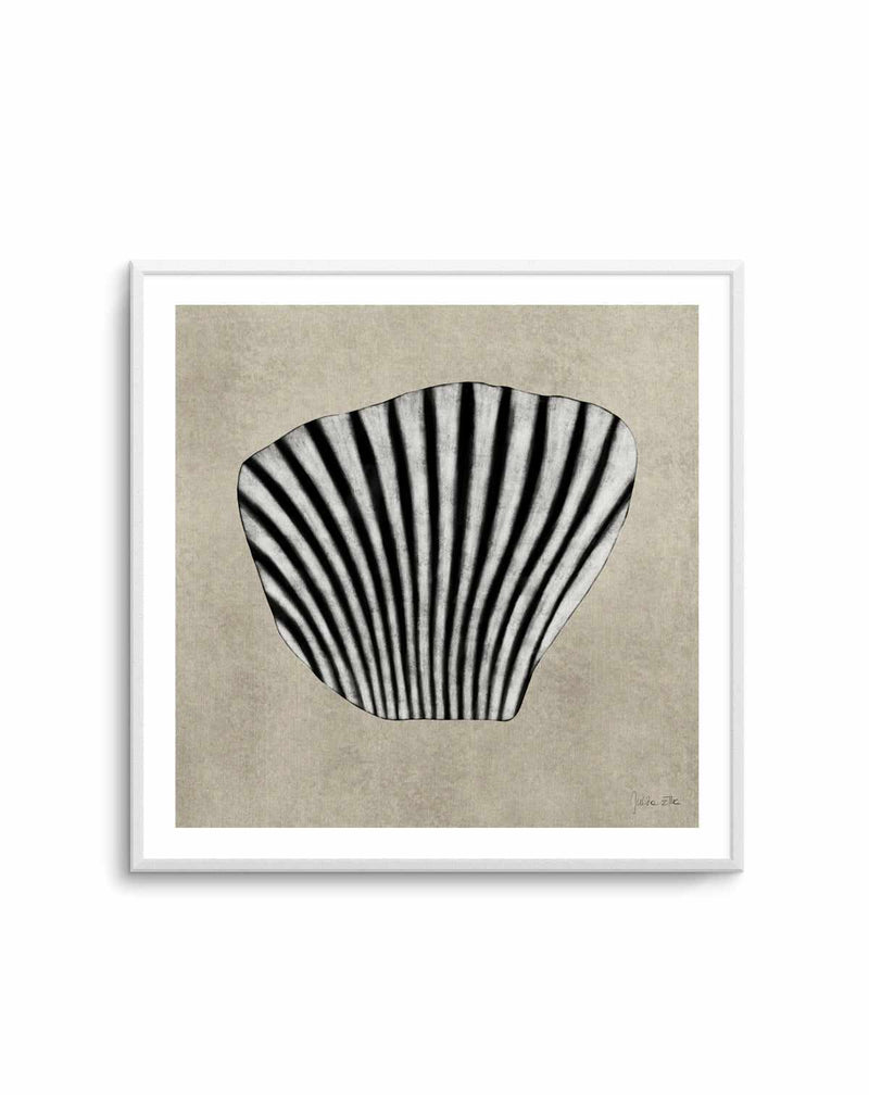 Sea Shells by Julita Elbe | Art Print from Olive et Oriel where you can shop wallpaper and artworks online