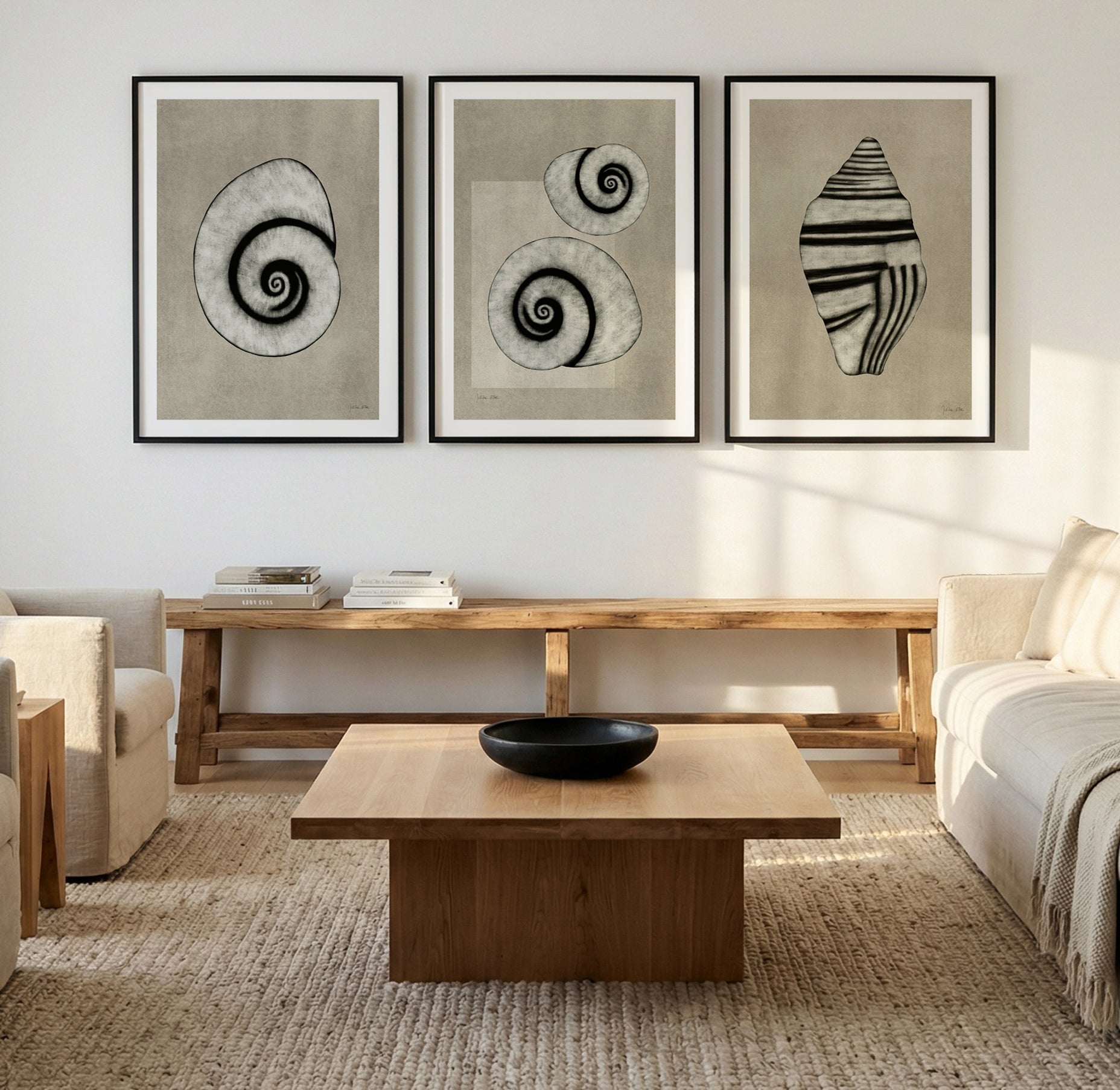 Sea Shells 01, 02 & 03 by Julita Elbe | 3 Piece Wall Art Set