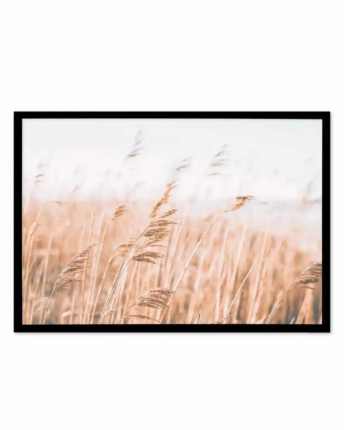 Seagrass In The Wind I | LS Art Print from Olive et Oriel where you can shop wallpaper and artworks online