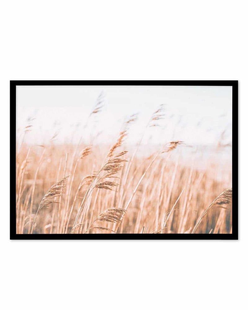 Seagrass In The Wind I | LS Art Print