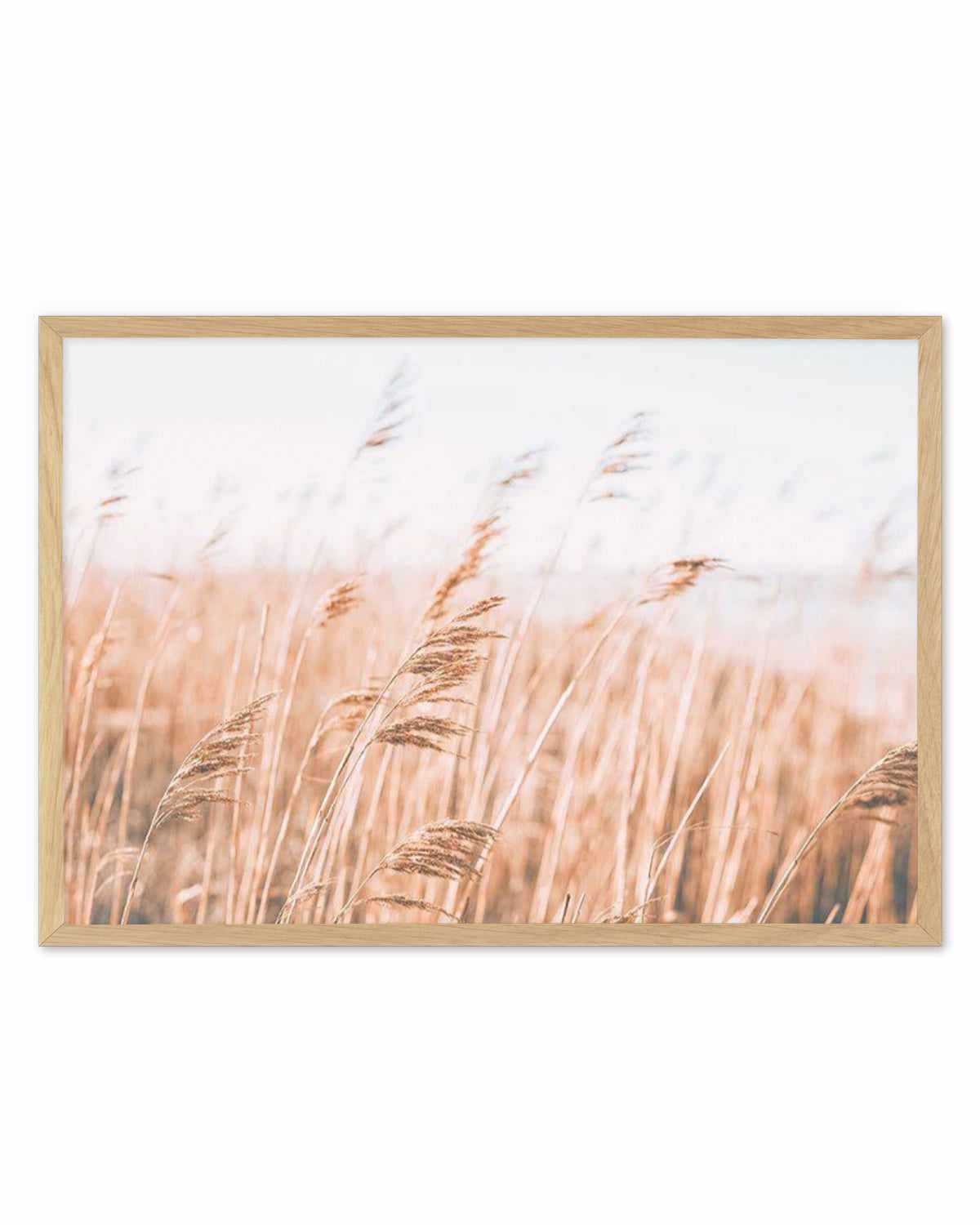 Seagrass In The Wind I | LS Art Print