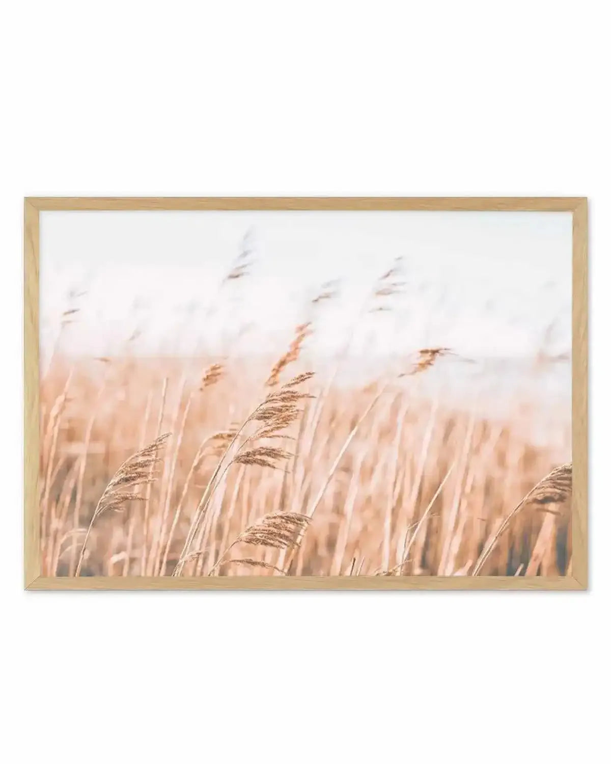 Seagrass In The Wind I | LS Art Print from Olive et Oriel where you can shop wallpaper and artworks online