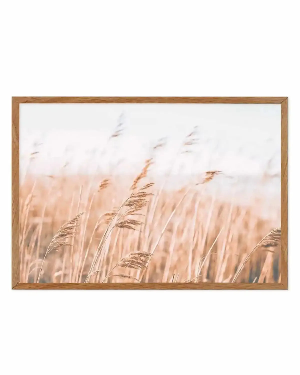 Seagrass In The Wind I | LS Art Print from Olive et Oriel where you can shop wallpaper and artworks online