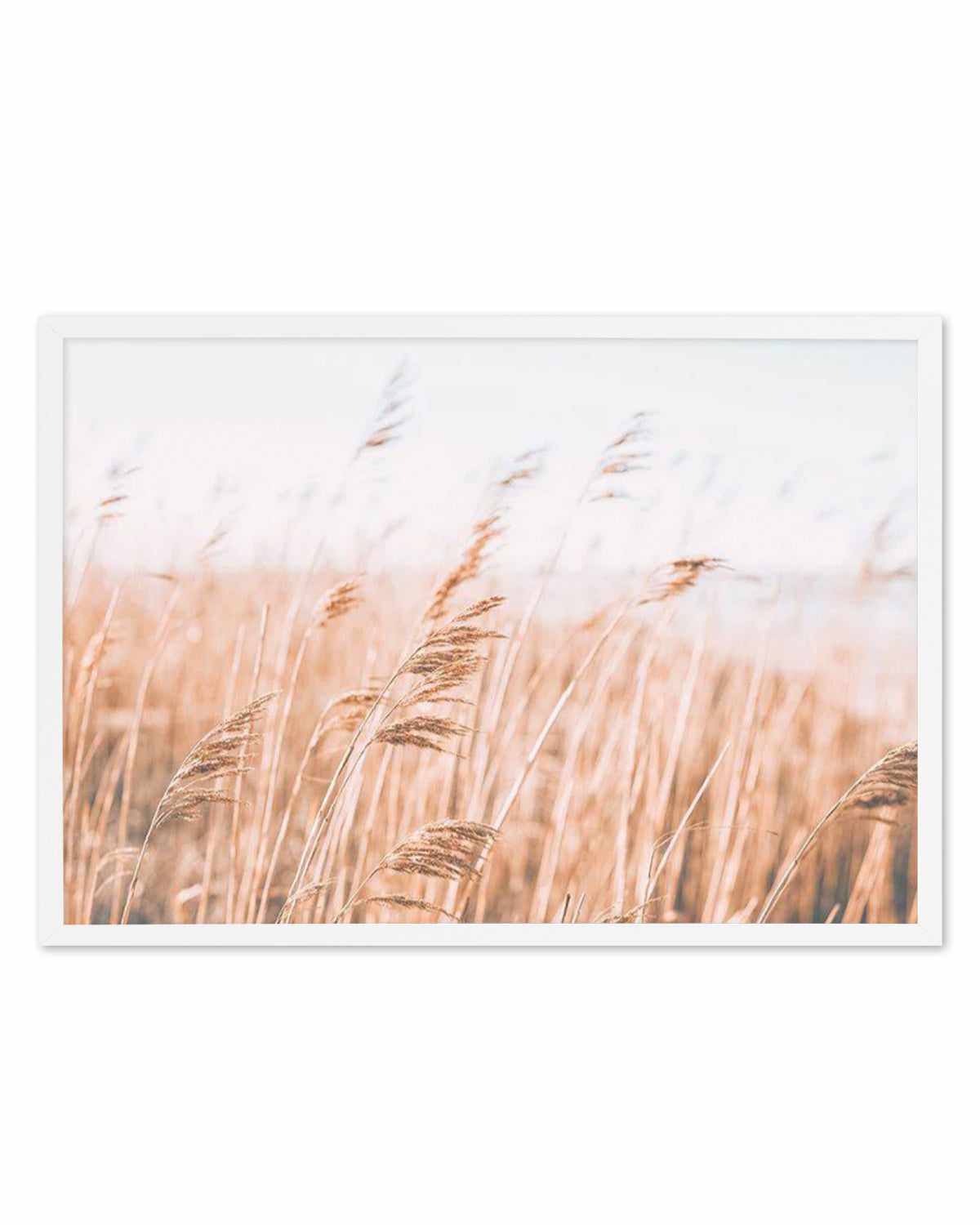 Seagrass In The Wind I | LS Art Print