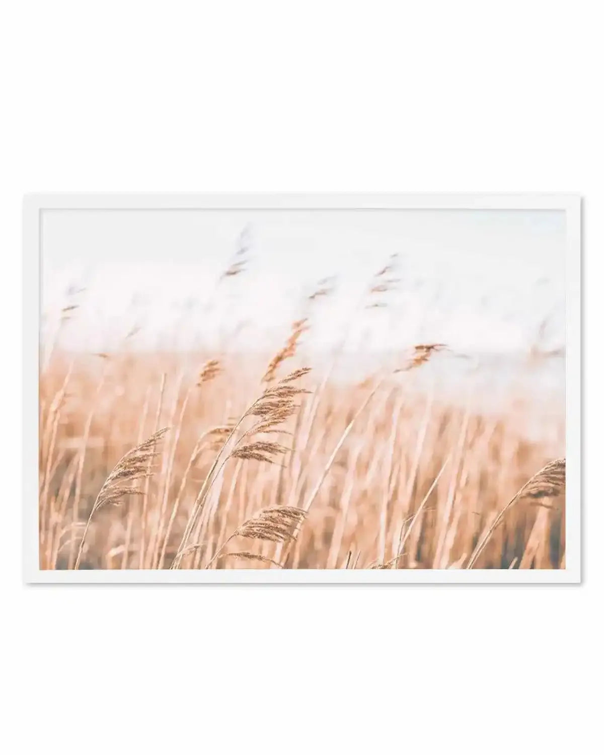 Seagrass In The Wind I | LS Art Print from Olive et Oriel where you can shop wallpaper and artworks online