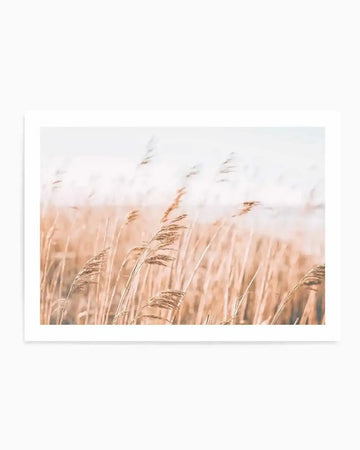 Seagrass In The Wind I | LS Art Print from Olive et Oriel where you can shop wallpaper and artworks online