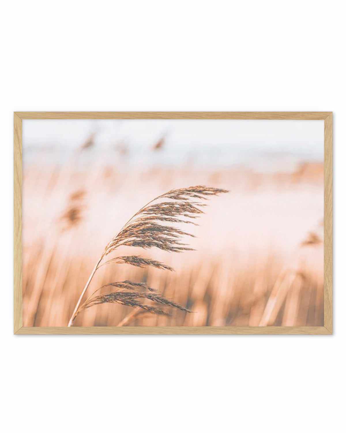 Seagrass In The Wind II | LS Art Print