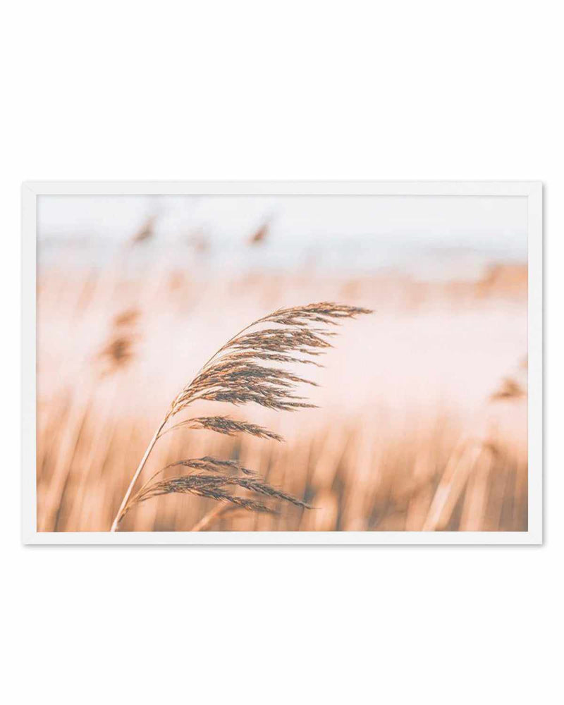 Seagrass In The Wind II | LS Art Print