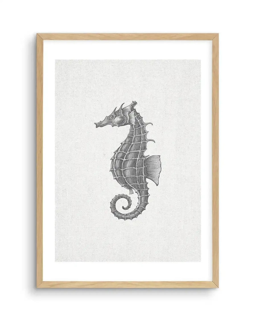 Black and white illustration of a seahorse with a textured, almost skeletal appearance, printed on fine art paper and displayed in a natural oak frame with white border. The seahorse faces left, with a curled tail and a detailed head featuring small spikes.