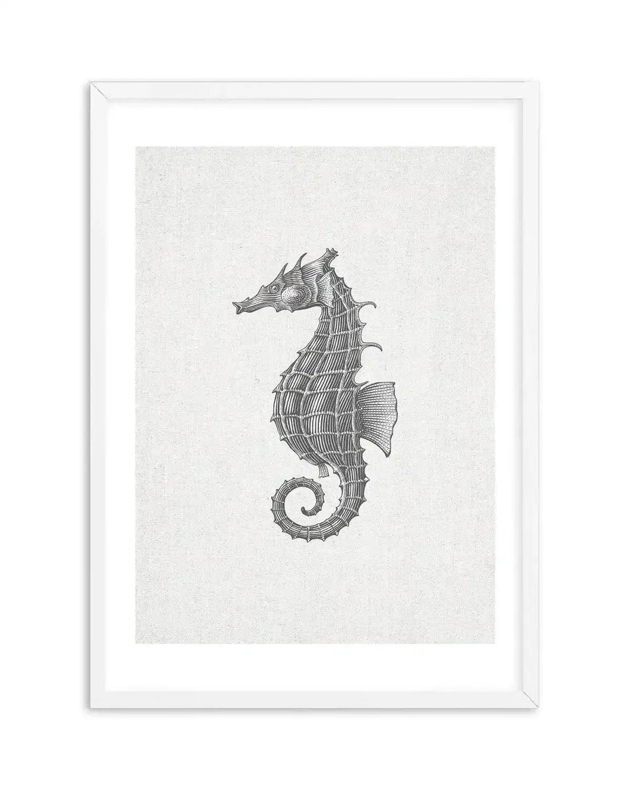 Seahorse illustration art print featuring a detailed black and white drawing of a seahorse with a textured, almost skeletal body and a curled tail, set against a light grey, subtly textured background resembling linen, displayed in a white frame with a white border.