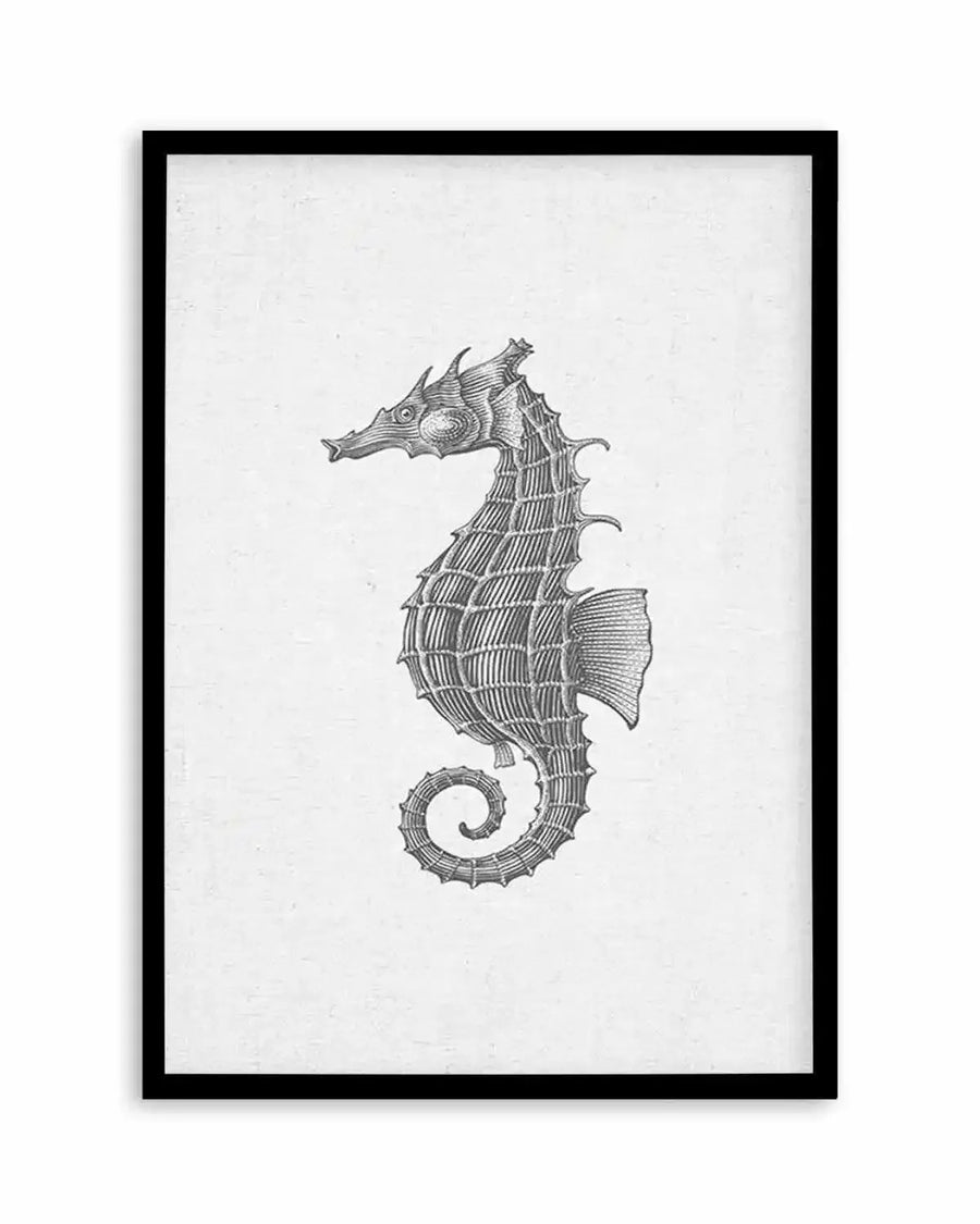 Art print featuring a detailed black and white illustration of a seahorse on a textured white background, displayed in a black frame with a white border. The seahorse is depicted in profile, facing left, with intricate cross-hatching to show its segmented body, spiny head, and curled tail.