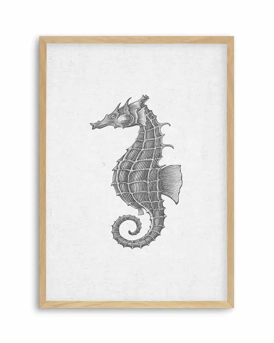 Seahorse illustration art print featuring a detailed black and white drawing of a seahorse with a textured, cross-hatched body and curled tail, printed on fine art paper and displayed in a natural oak frame with white border.