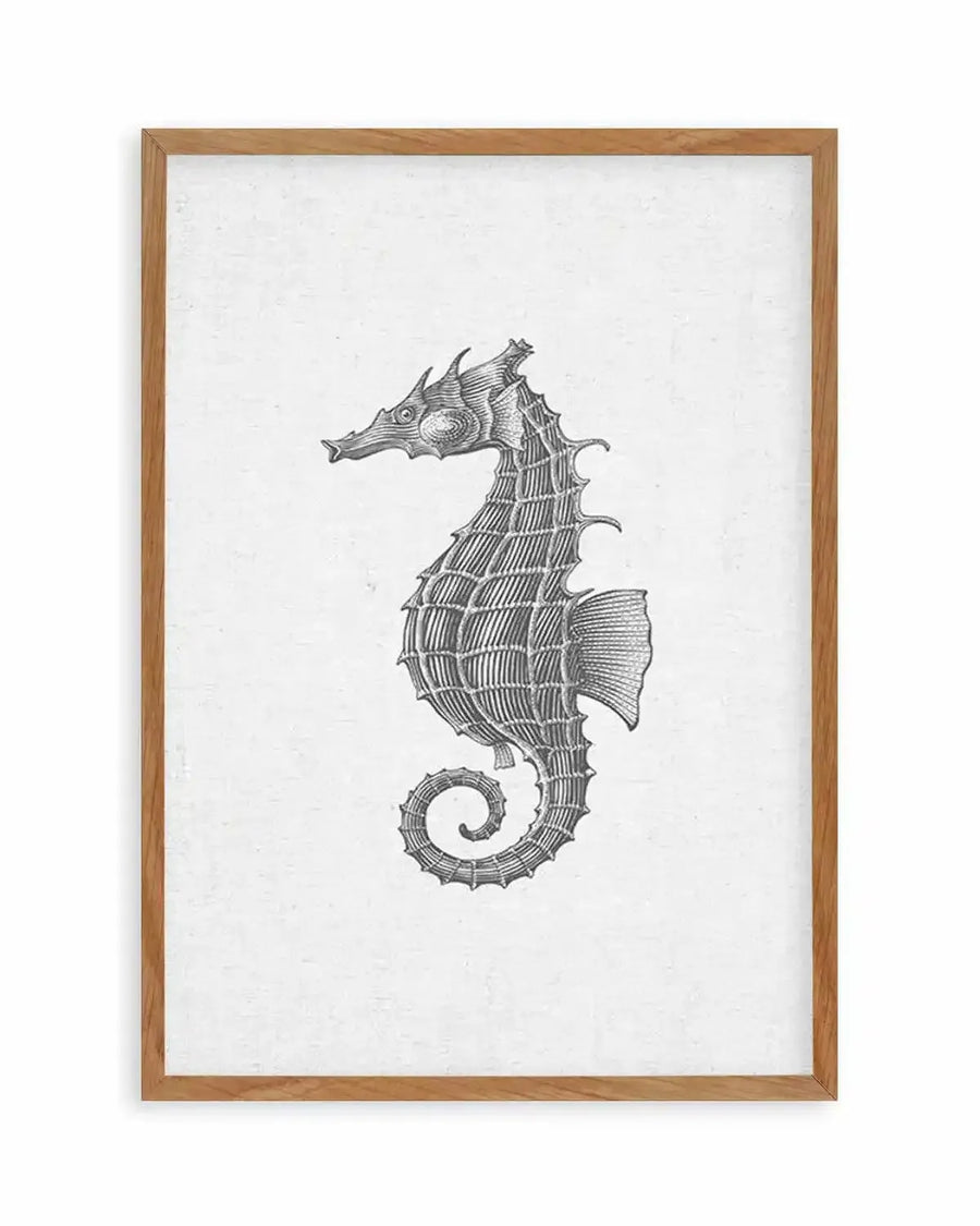 Art print featuring a detailed black and white illustration of a seahorse with a textured, scaly body and a curled tail, printed on fine art paper and displayed in a natural oak frame with white border.