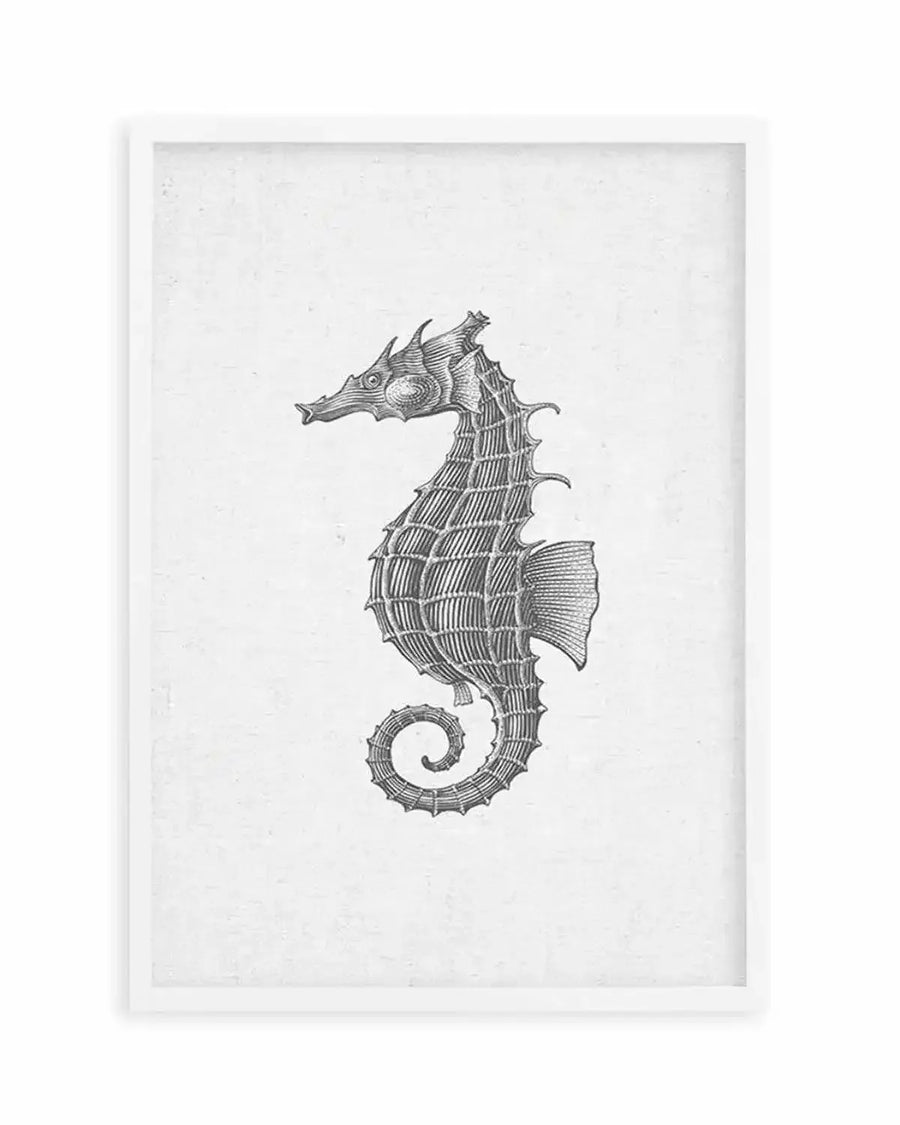 Framed art print featuring a detailed black and white illustration of a seahorse with a textured, scaly body and a curled tail, set against a subtly textured light grey background, displayed in a white frame with a white border.
