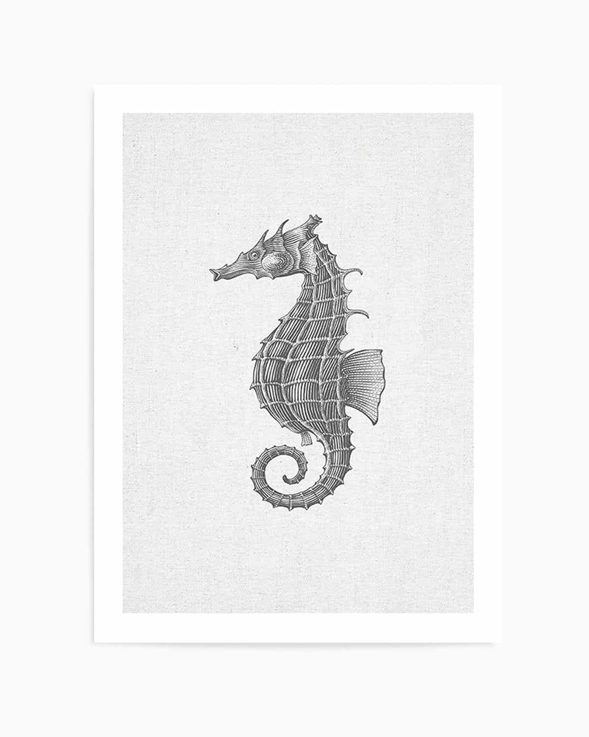 Seahorse on Linen Art Print