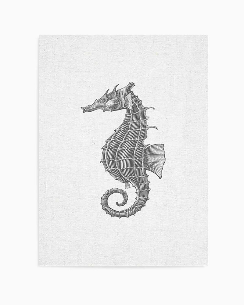 Seahorse on Linen Art Print