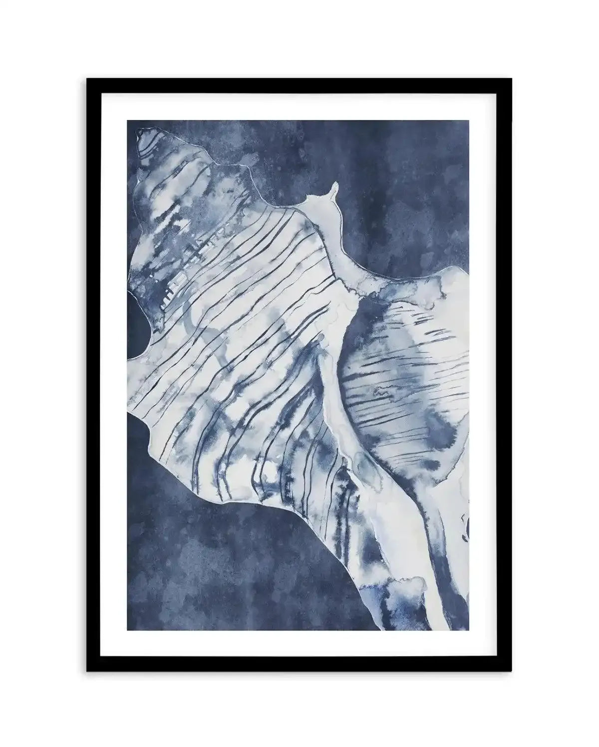 Seashell Luxe II Art Print-PRINT-Olive et Oriel-Olive et Oriel-A5 | 5.8" x 8.3" | 14.8 x 21cm-Black-With White Border-Buy-Australian-Art-Prints-Online-with-Olive-et-Oriel-Your-Artwork-Specialists-Austrailia-Decorate-With-Coastal-Photo-Wall-Art-Prints-From-Our-Beach-House-Artwork-Collection-Fine-Poster-and-Framed-Artwork
