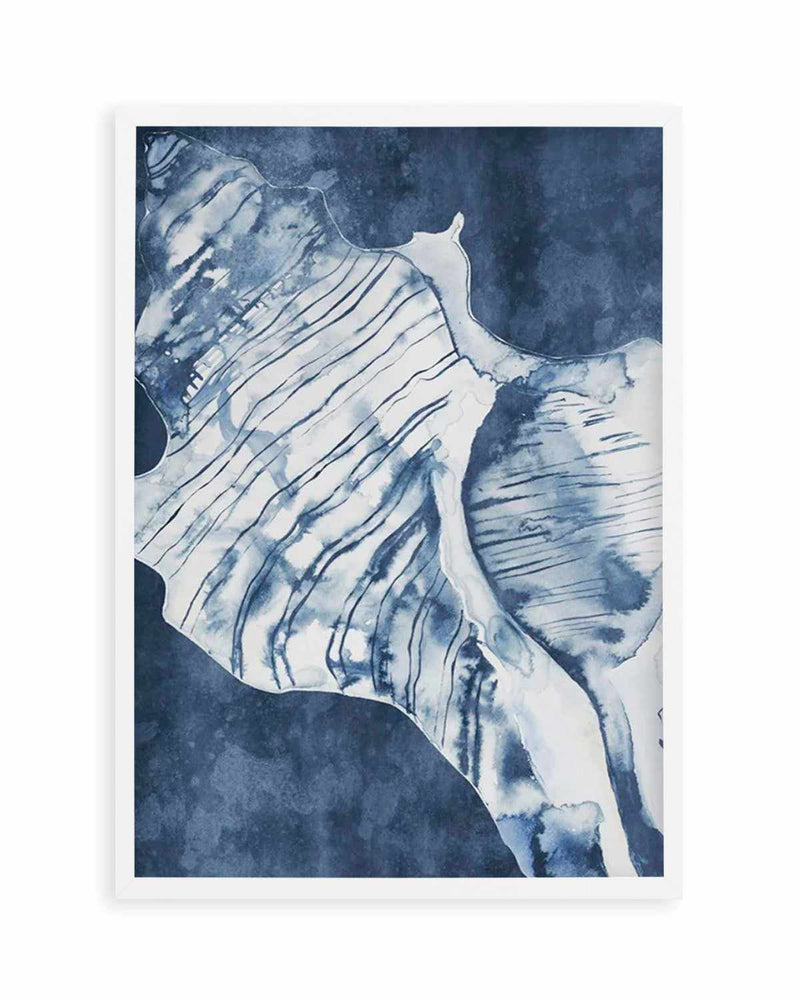 Seashell Luxe II Art Print