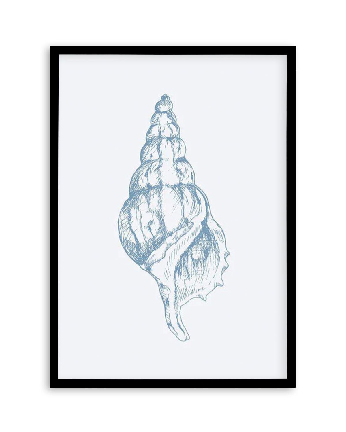 Seashell | Atlantic Triton Art Print