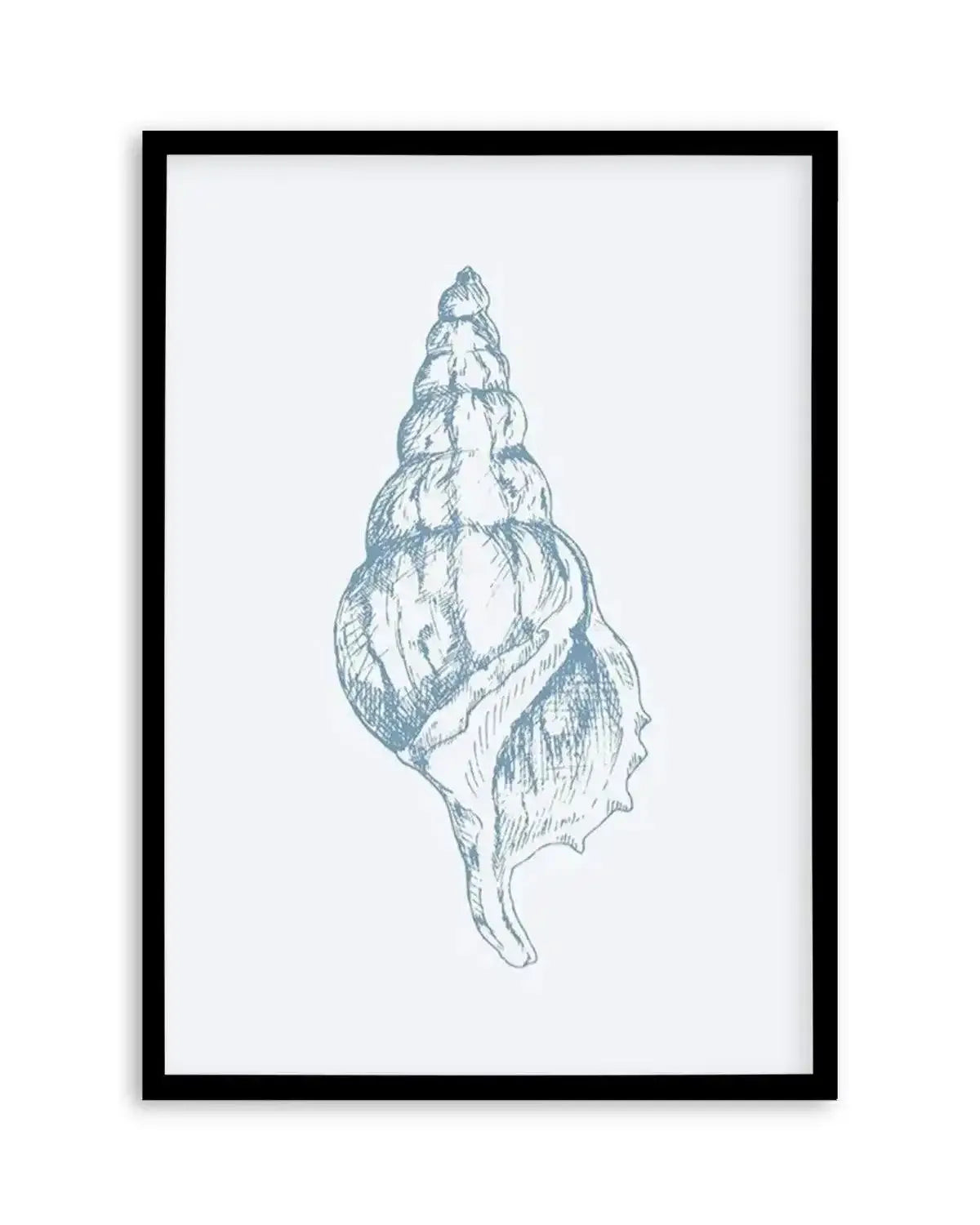 Seashell | Atlantic Triton Art Print from Olive et Oriel where you can shop wallpaper and artworks online