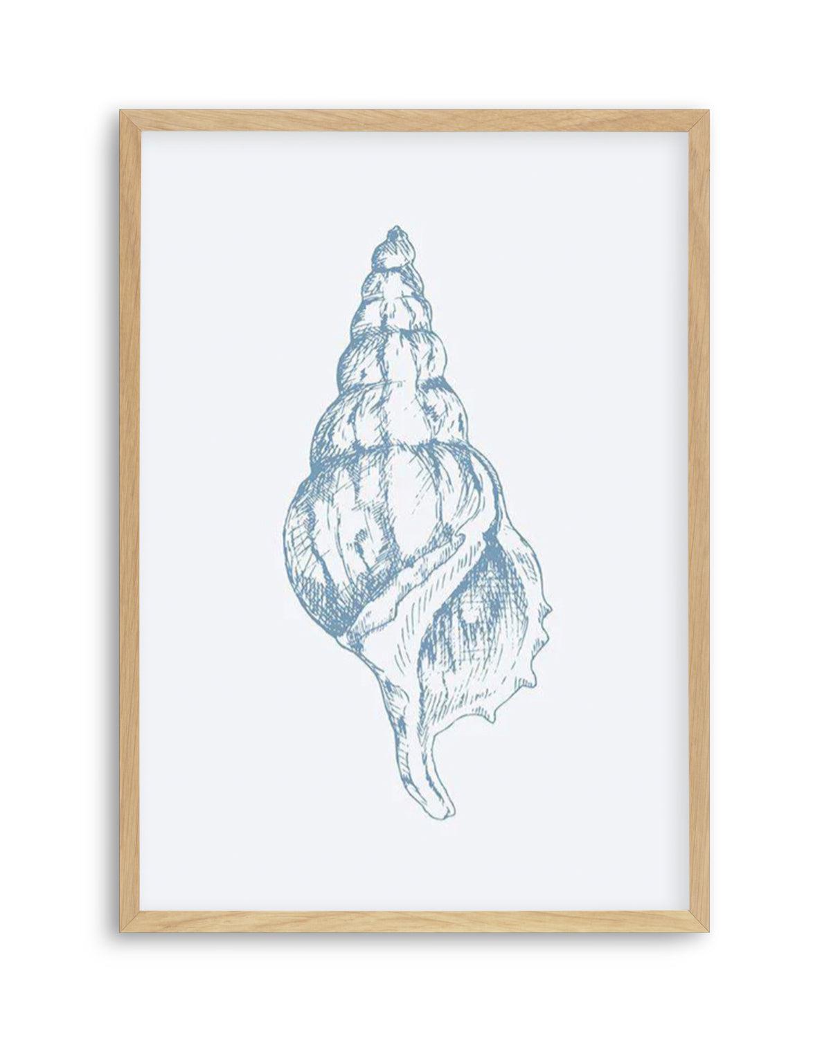 Seashell | Atlantic Triton Art Print