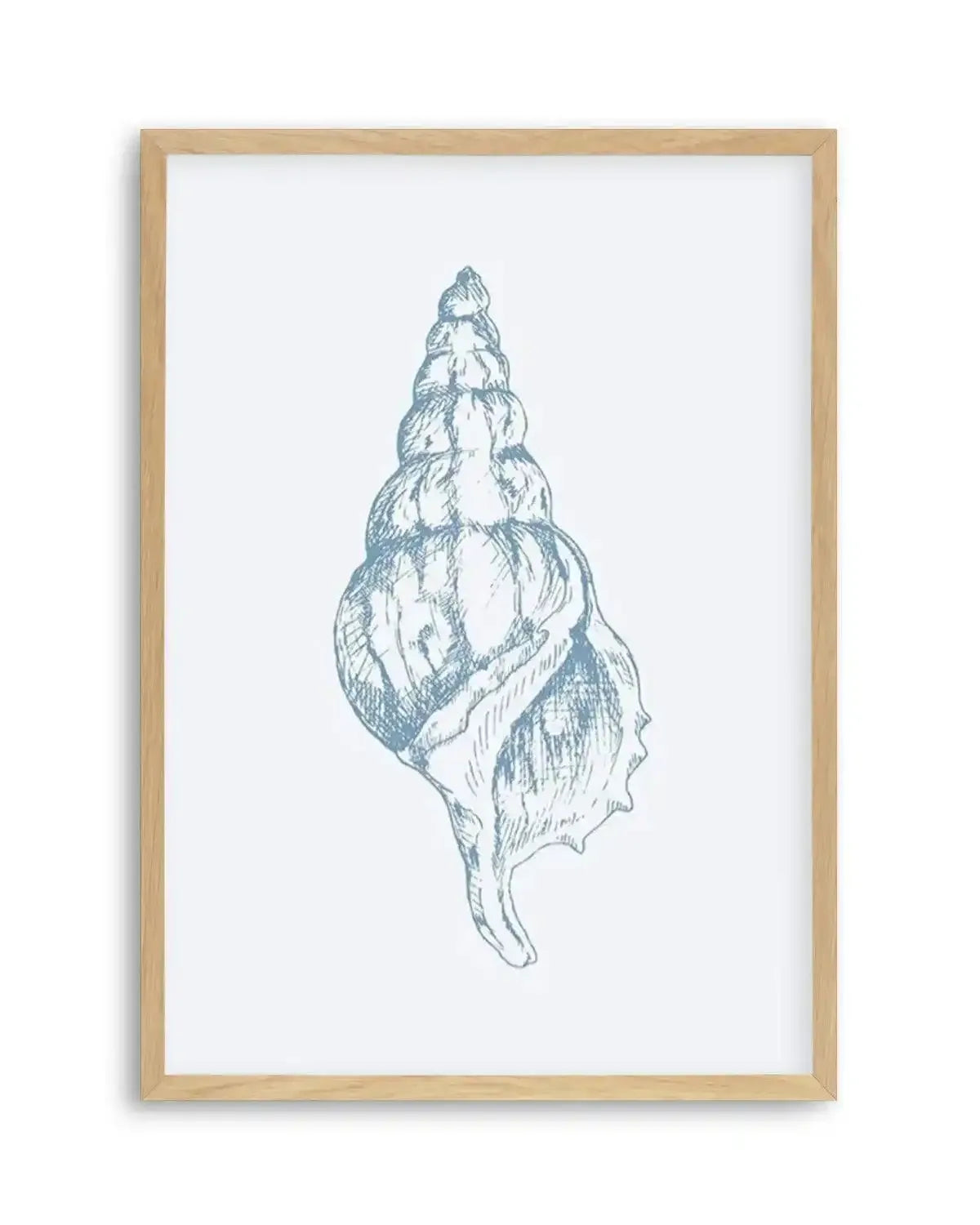 Seashell | Atlantic Triton Art Print from Olive et Oriel where you can shop wallpaper and artworks online