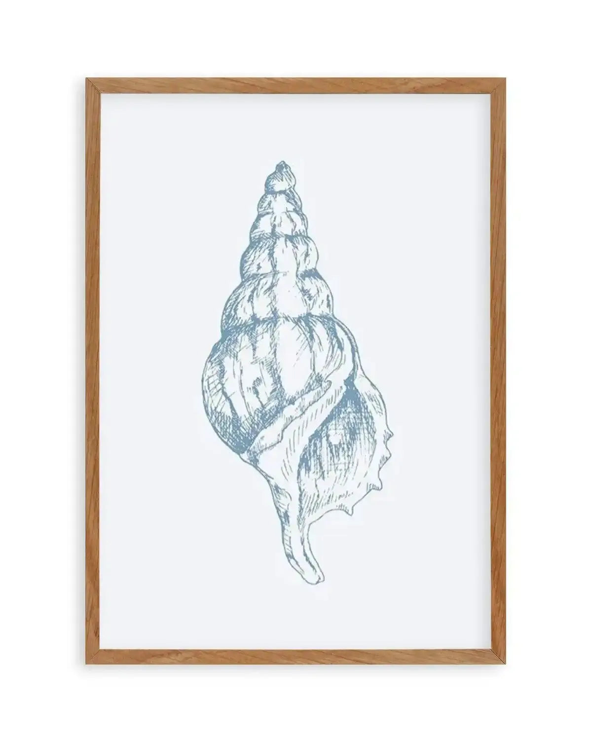 Seashell | Atlantic Triton Art Print from Olive et Oriel where you can shop wallpaper and artworks online