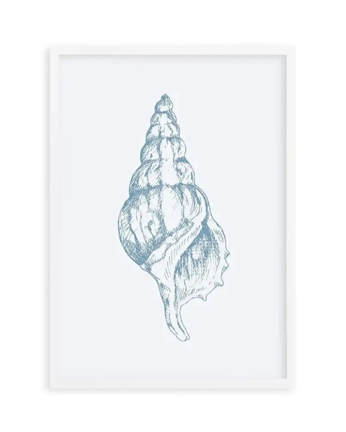 Seashell | Atlantic Triton Art Print from Olive et Oriel where you can shop wallpaper and artworks online