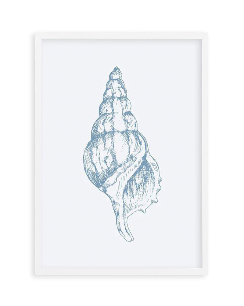 Seashell | Atlantic Triton Art Print