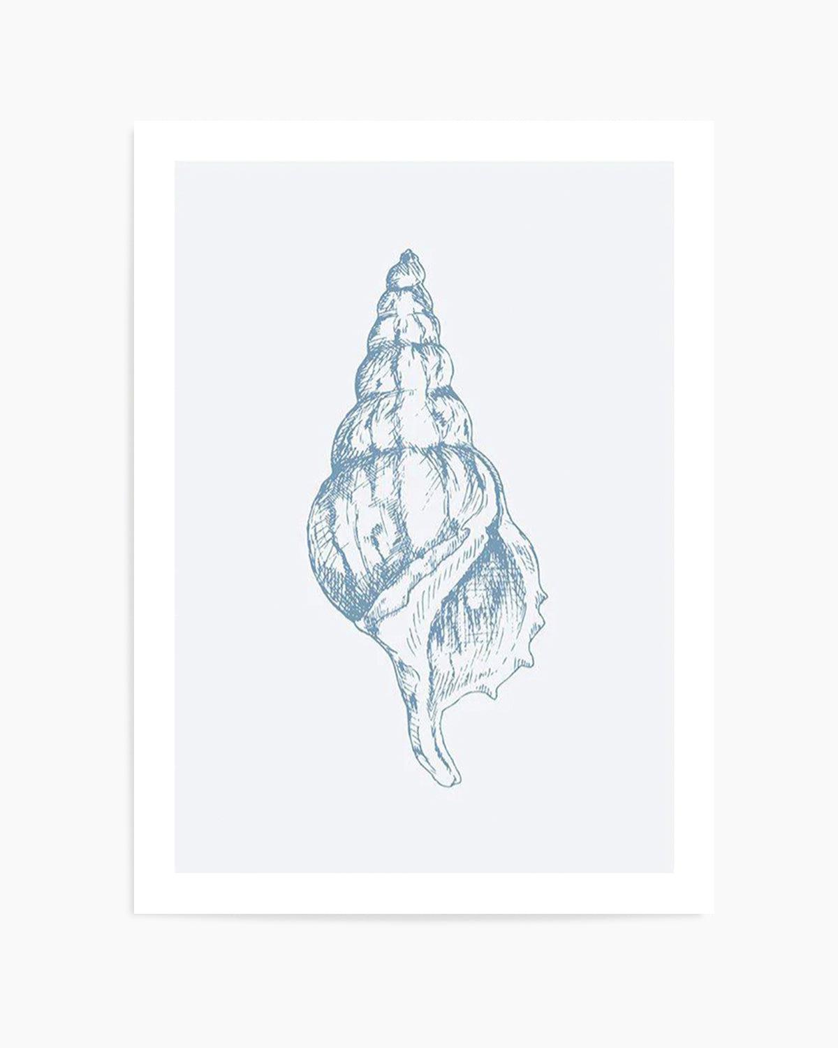 Seashell | Atlantic Triton Art Print