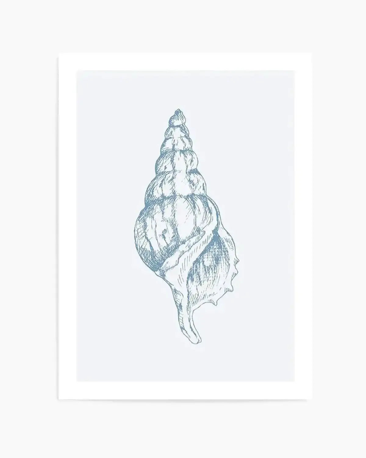 Seashell | Atlantic Triton Art Print from Olive et Oriel where you can shop wallpaper and artworks online