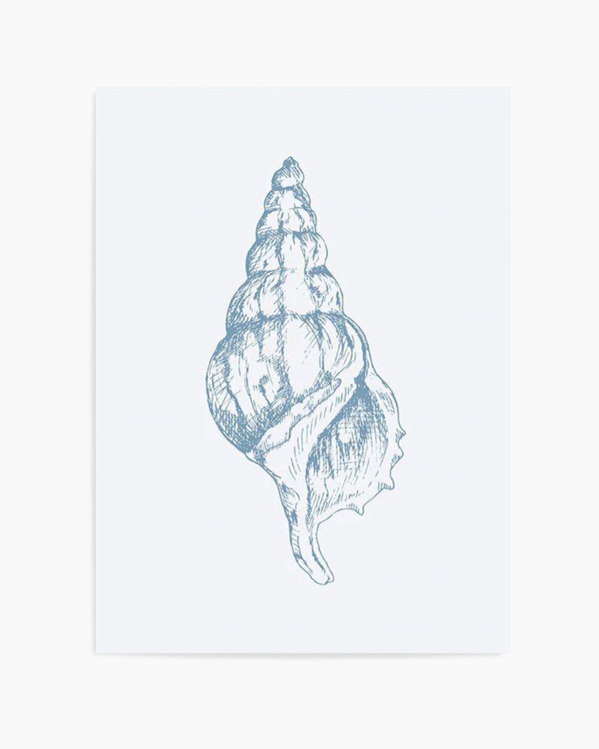 Seashell | Atlantic Triton Art Print