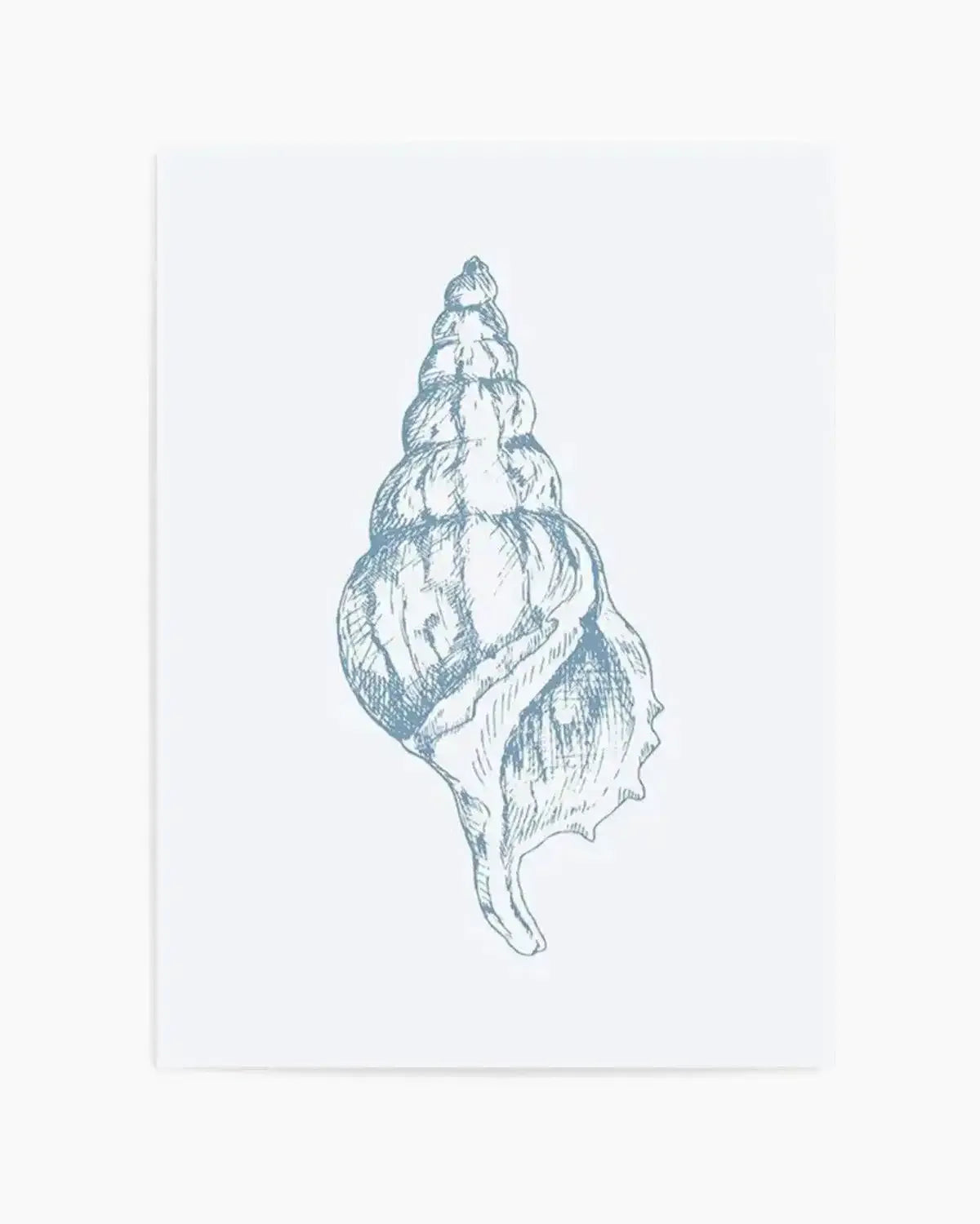 Seashell | Atlantic Triton Art Print from Olive et Oriel where you can shop wallpaper and artworks online