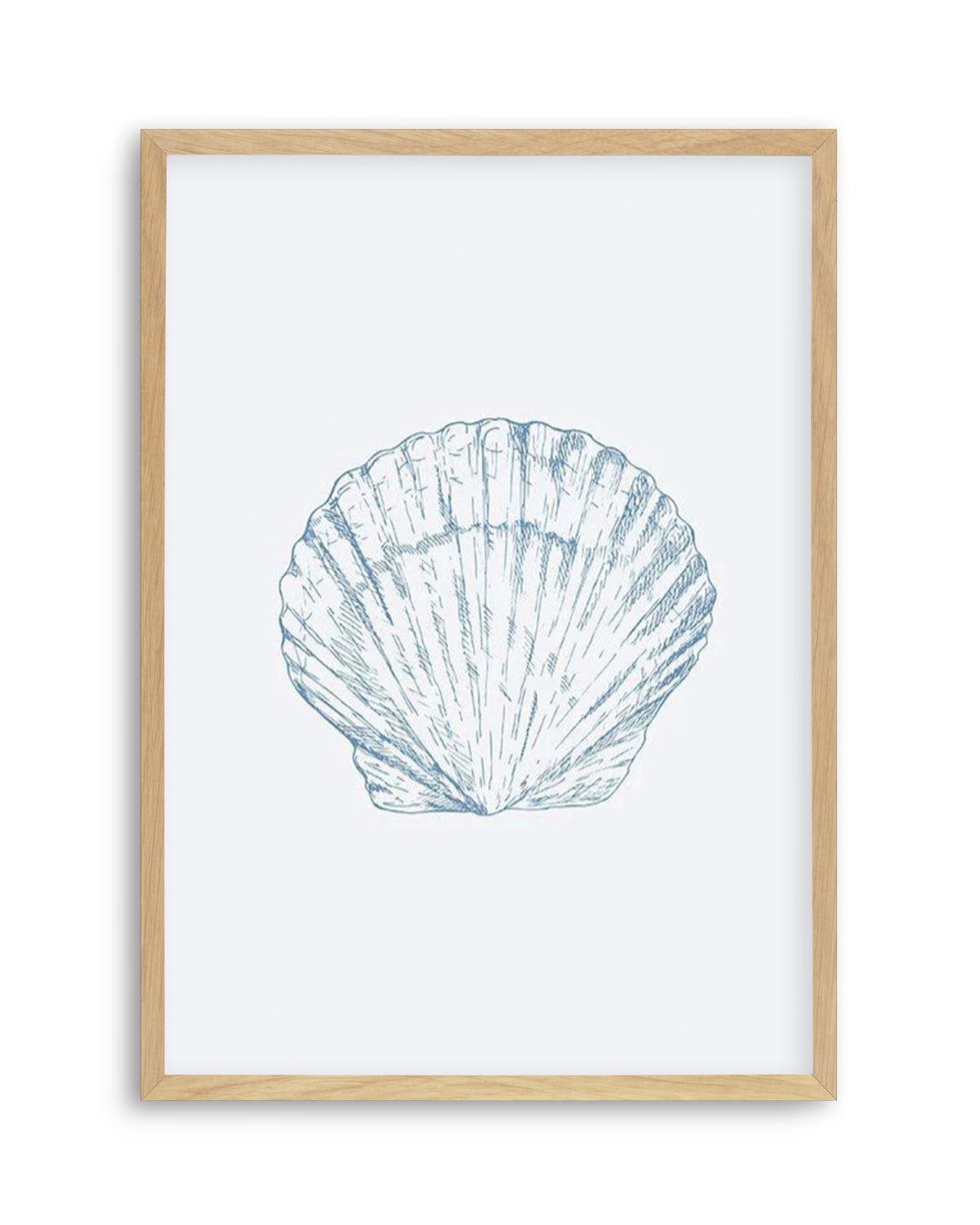 Seashell | Bay Scallop Art Print