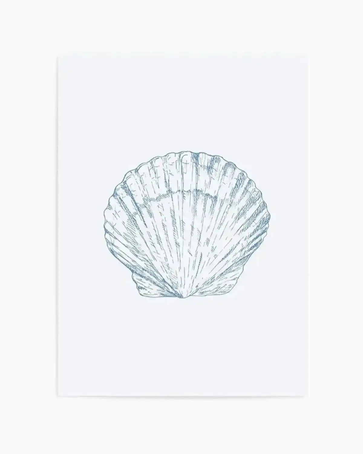 Seashell | Bay Scallop Art Print from Olive et Oriel where you can shop wallpaper and artworks online