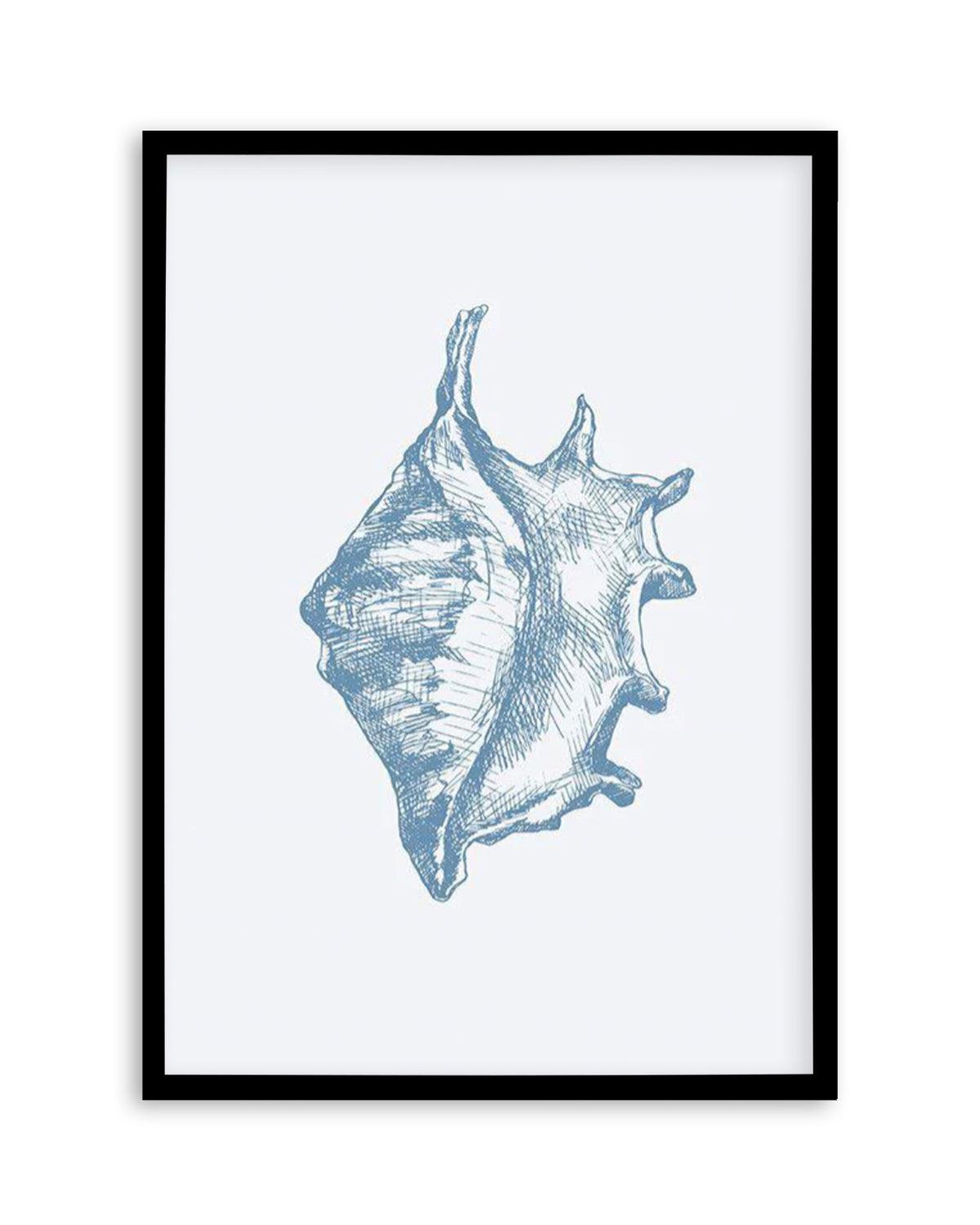 Seashell | Conch Art Print