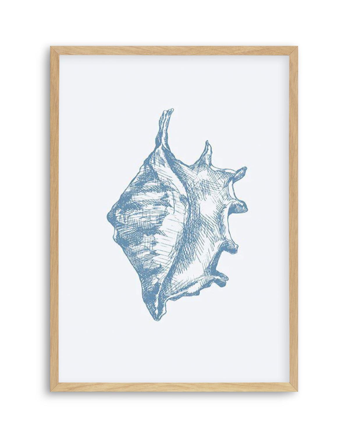 Seashell | Conch Art Print