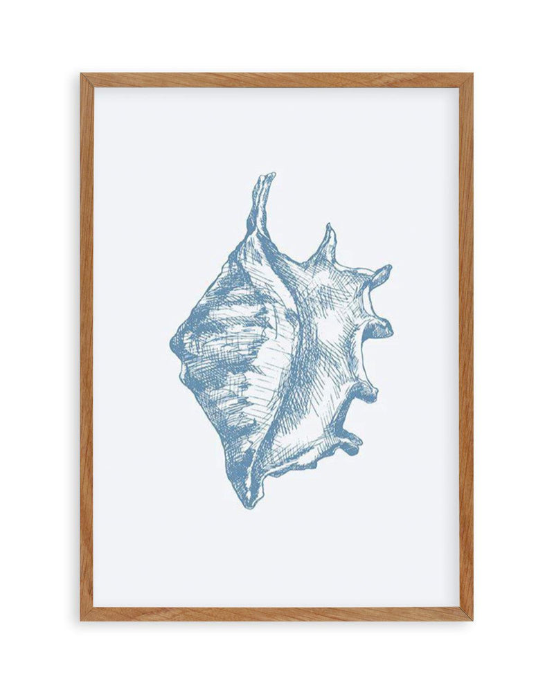 Seashell | Conch Art Print