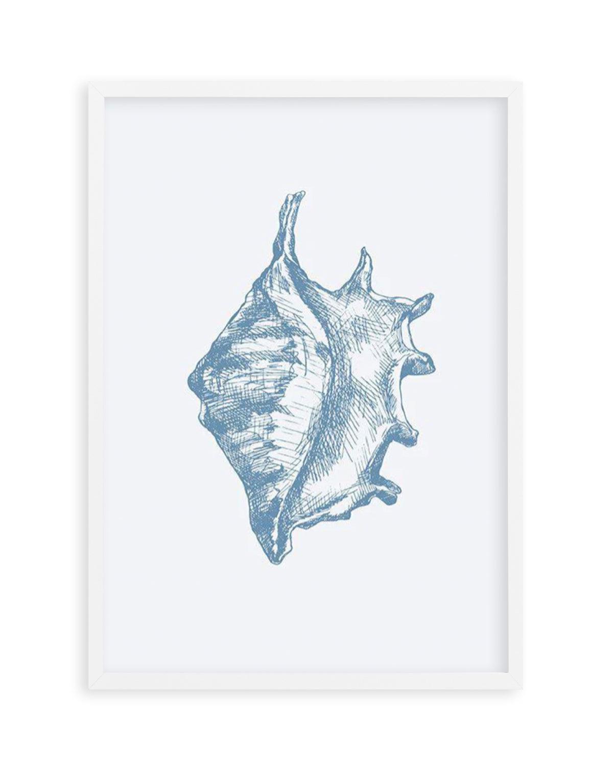 Seashell | Conch Art Print