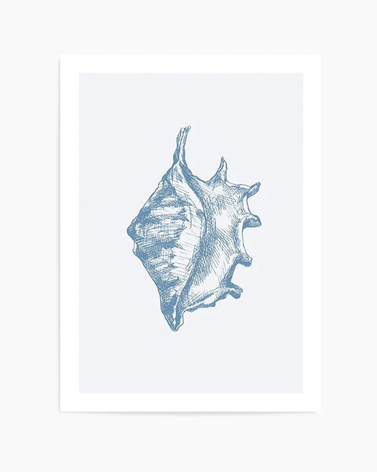 Seashell | Conch Art Print